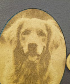 Golden Retriever mit Laser Gravur EU-Heimtierausweis Hundepasshülle EU-Heimtierausweis Hülle Heimtierausweis Impfpass Hülle Tierpasshülle Tierpersonalausweis