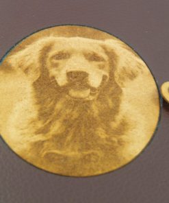 Golden Retriever mit Laser Gravur EU-Heimtierausweis Hundepasshülle EU-Heimtierausweis Hülle Heimtierausweis Impfpass Hülle Tierpasshülle Tierpersonalausweis